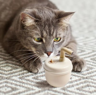 BOBA 滾滾奶茶逗貓器14