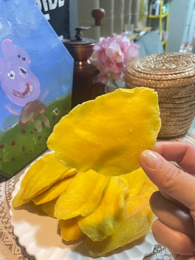 越南芒果乾／越南鳳梨乾 2包任選免運組9