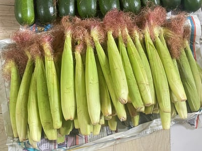 無毒自然栽培 | 紅鬚玉米筍8斤12