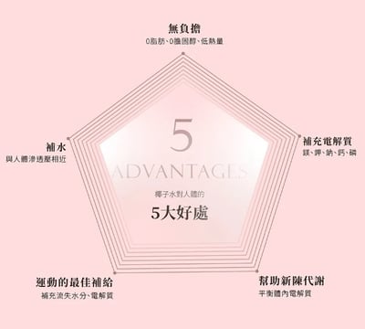 LINDY'S 100% 原味椰子水310ml 24入裝5