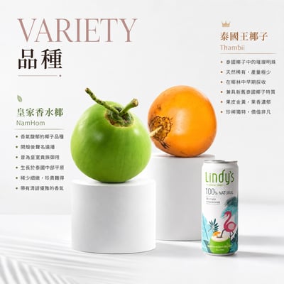 LINDY'S 100% 原味椰子水310ml 24入裝16