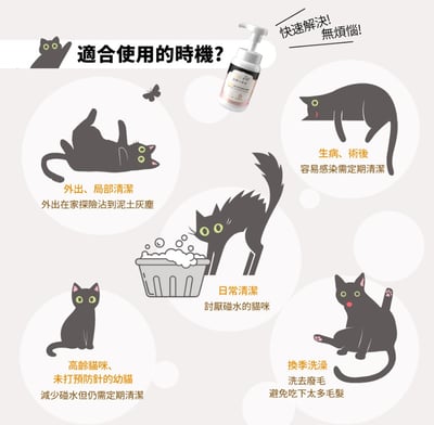 益菌革命｜TRIPLE PROBIO 貓咪乾洗抗菌慕斯 150ml9