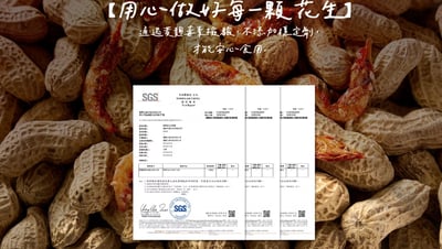 【日投晒晒】雲林在地炒花生 限量僅此一組｜中元普渡老饕終極組9