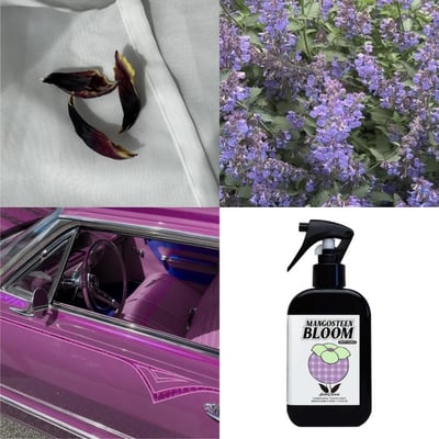 韓國SCHIM夢幻荔枝山竹花園衣物室内香氛噴霧200ml 二入組4