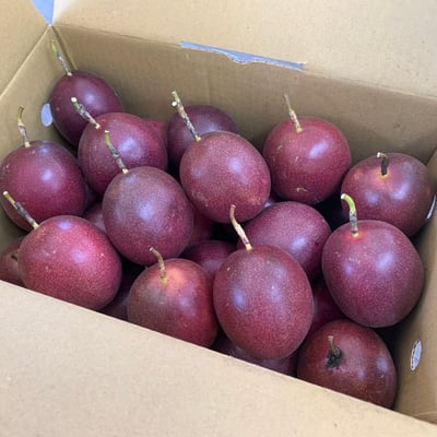 埔里香甜百香果精選大果10斤分享箱(80顆±10%)3