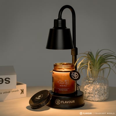 FLAVOUR 融蠟燈1