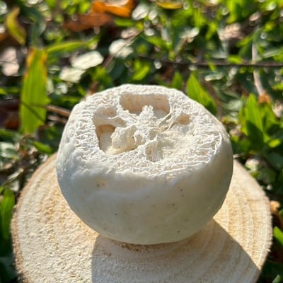 自然覺醒 Body Wash 絲瓜清爽沐浴皂33號5