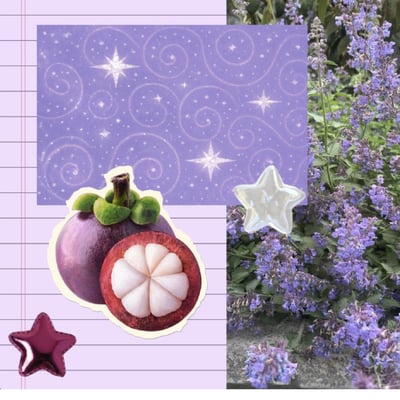 韓國SCHIM夢幻荔枝山竹花園衣物室内香氛噴霧200ml 二入組5