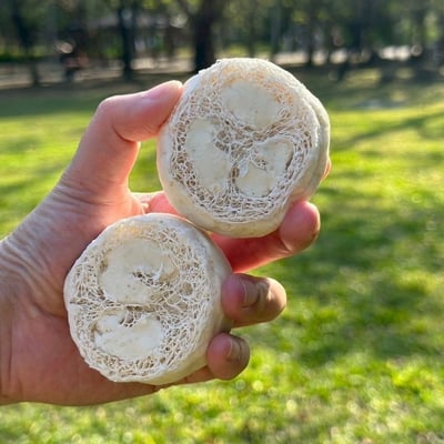 自然覺醒 Body Wash 絲瓜清爽沐浴皂33號4