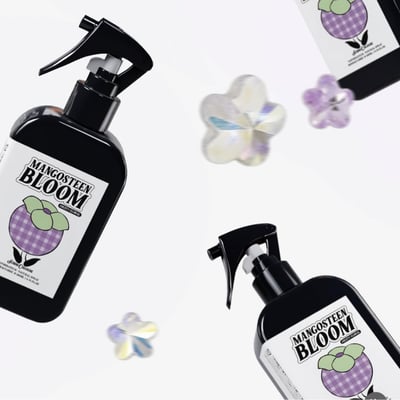 韓國SCHIM夢幻荔枝山竹花園衣物室内香氛噴霧200ml 二入組2