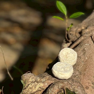 自然覺醒 Body Wash 絲瓜清爽沐浴皂33號6
