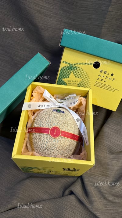 日本溫室哈密瓜13