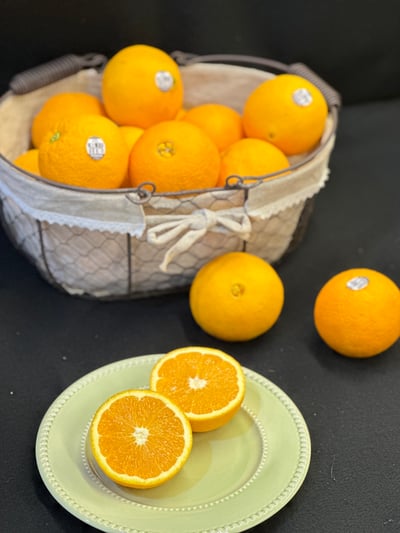 美國加州肚臍丁(壽康丁)7