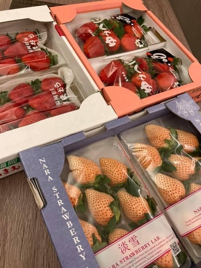 日本淡雪草莓「預購商品排單出貨」5