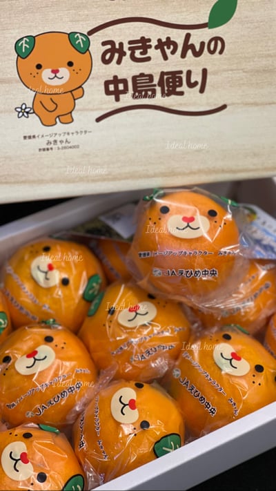 日本套袋(卡通)蜜柑3