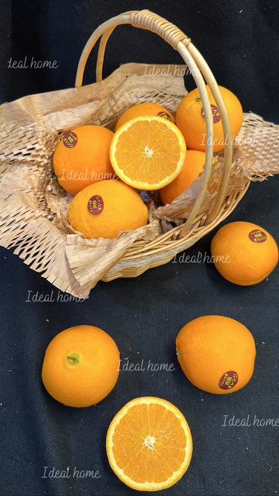 美國加州肚臍丁(壽康丁)2