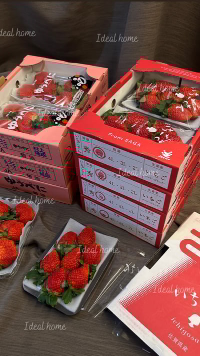 日本草莓◆佐賀/長崎/靜岡/熊本◆21