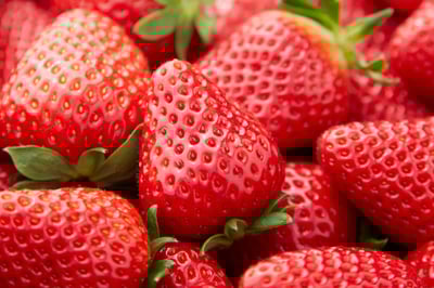 日本雙色草莓12