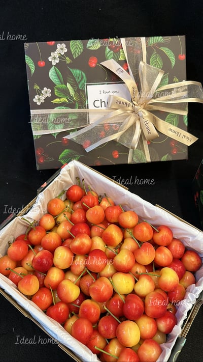 華盛頓白櫻桃〔紅+白雙拼櫻桃〕1