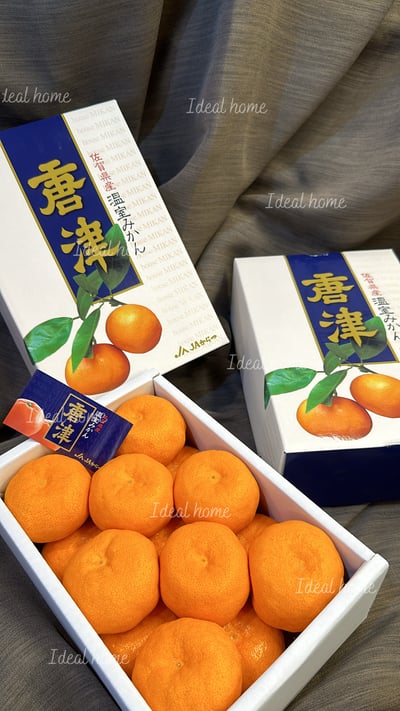 日本溫室唐津蜜柑9