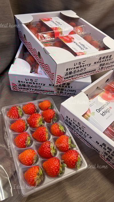 日本草莓◆佐賀/長崎/靜岡/熊本◆15