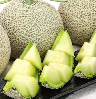 日本溫室哈密瓜4