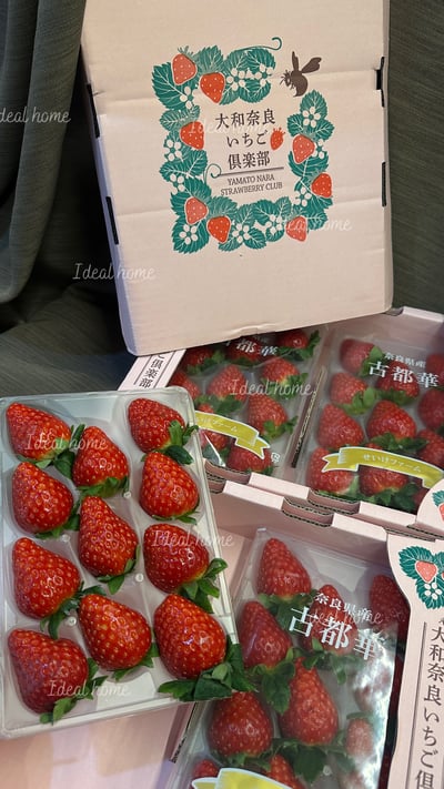 日本古都華草莓4