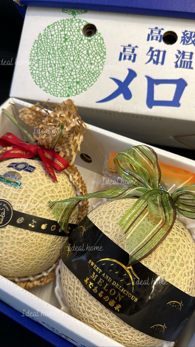 日本溫室哈密瓜7