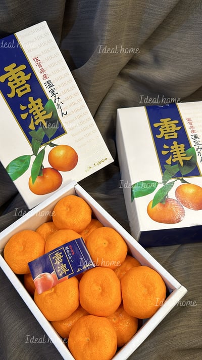 日本溫室唐津蜜柑12