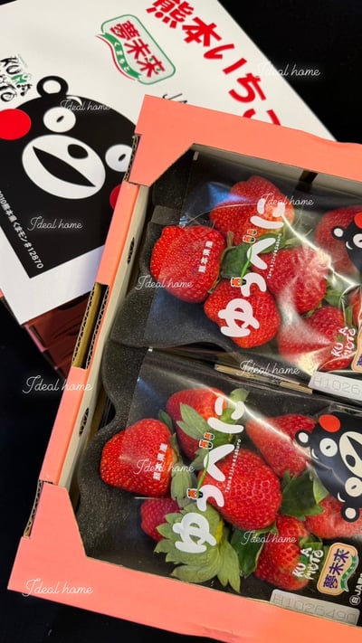 日本草莓◆佐賀/長崎/靜岡/熊本◆5
