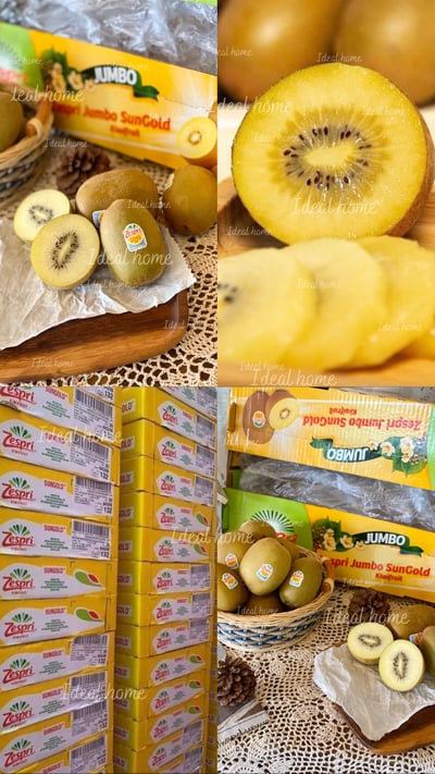紐西蘭太陽金奇異果2