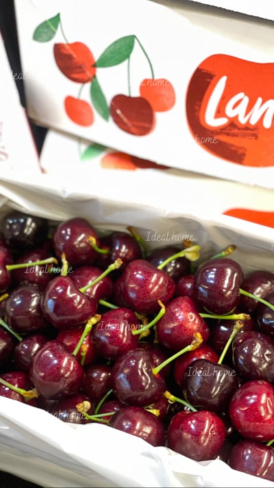 紐西蘭櫻桃8