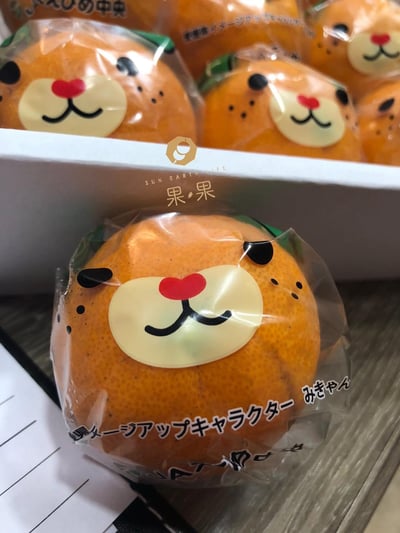 日本套袋(卡通)蜜柑5