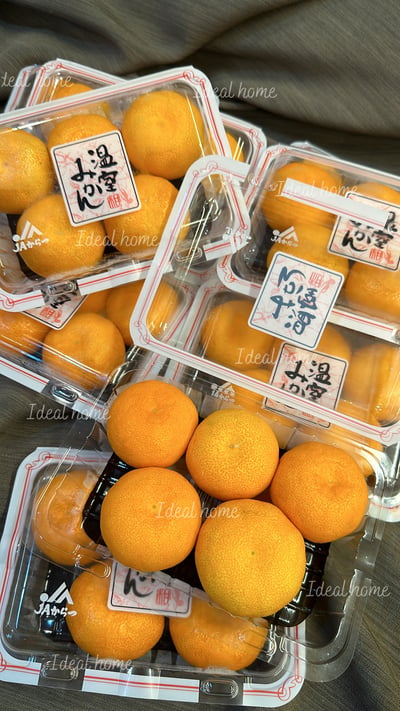 日本溫室唐津蜜柑11