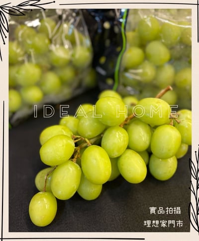 美國/祕魯/智利青無籽葡萄〔秋脆〕2
