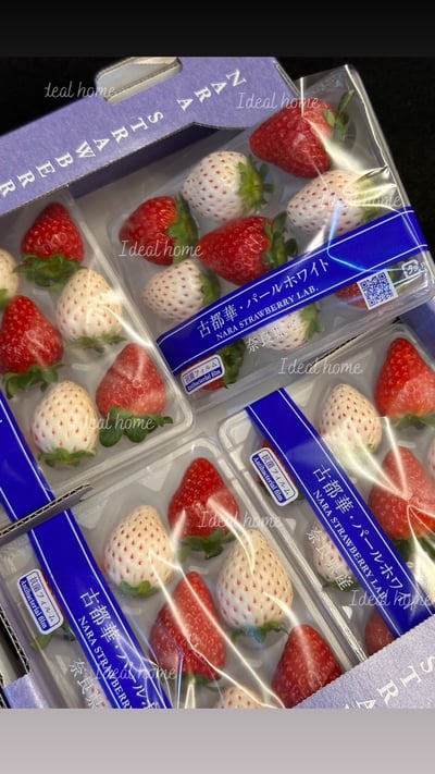 日本雙色草莓4