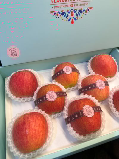 精巧系列- 華盛頓富士7