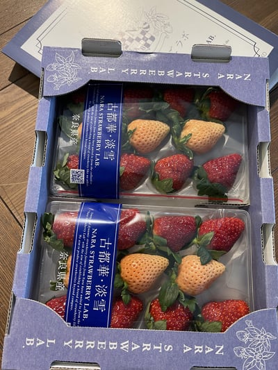 日本雙色草莓6