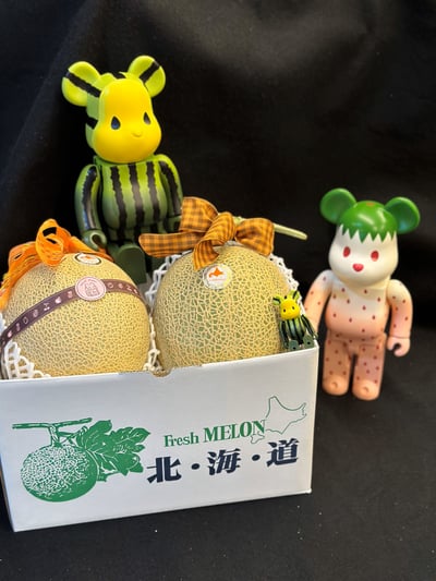 日本溫室哈密瓜11