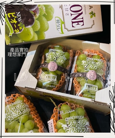 日本麝香葡萄13