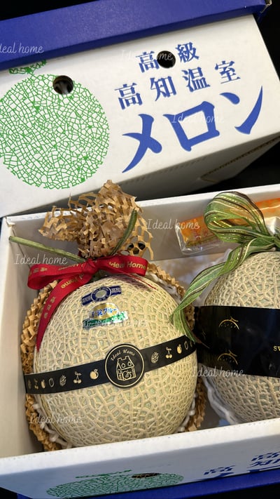 日本溫室哈密瓜8