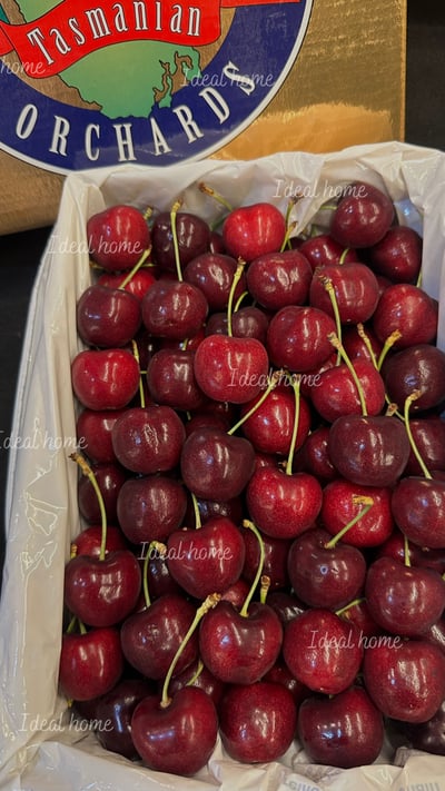 澳洲櫻桃3
