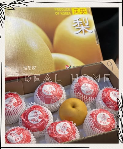 韓國進口水梨5