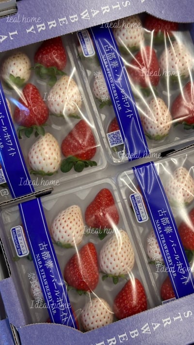日本雙色草莓5
