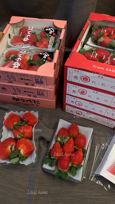 日本草莓◆佐賀/長崎/靜岡/熊本◆18
