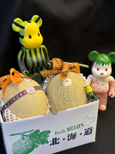 日本溫室哈密瓜9