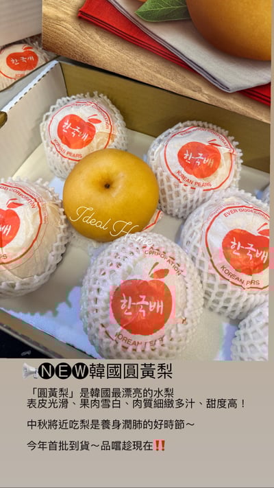 韓國進口水梨3