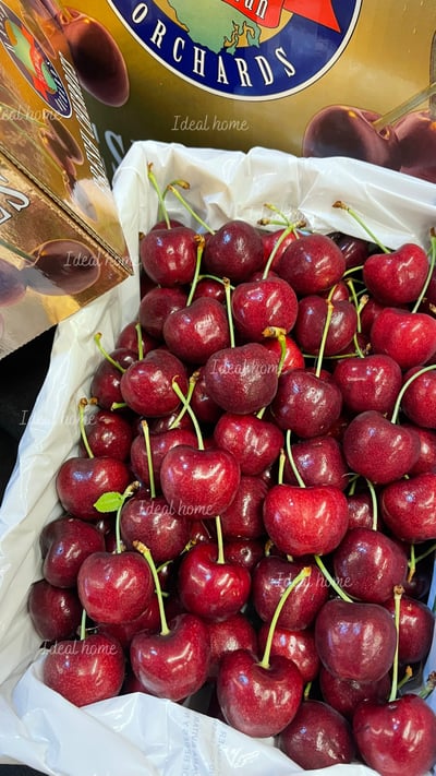 澳洲櫻桃8