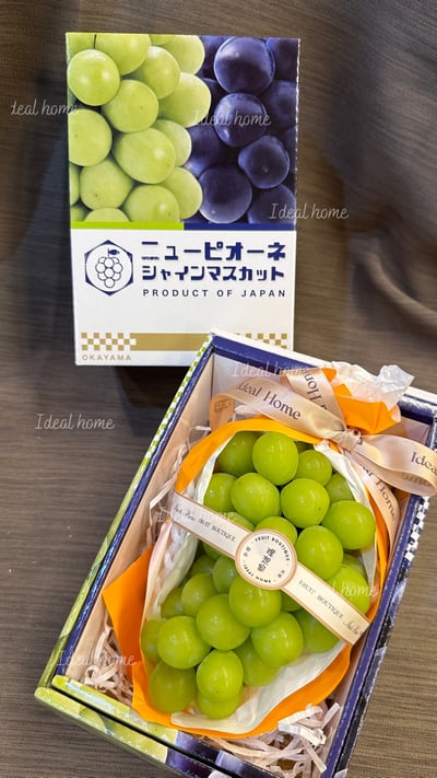日本麝香葡萄9