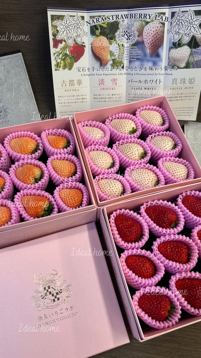 日本天皇草莓(三種混搭)22